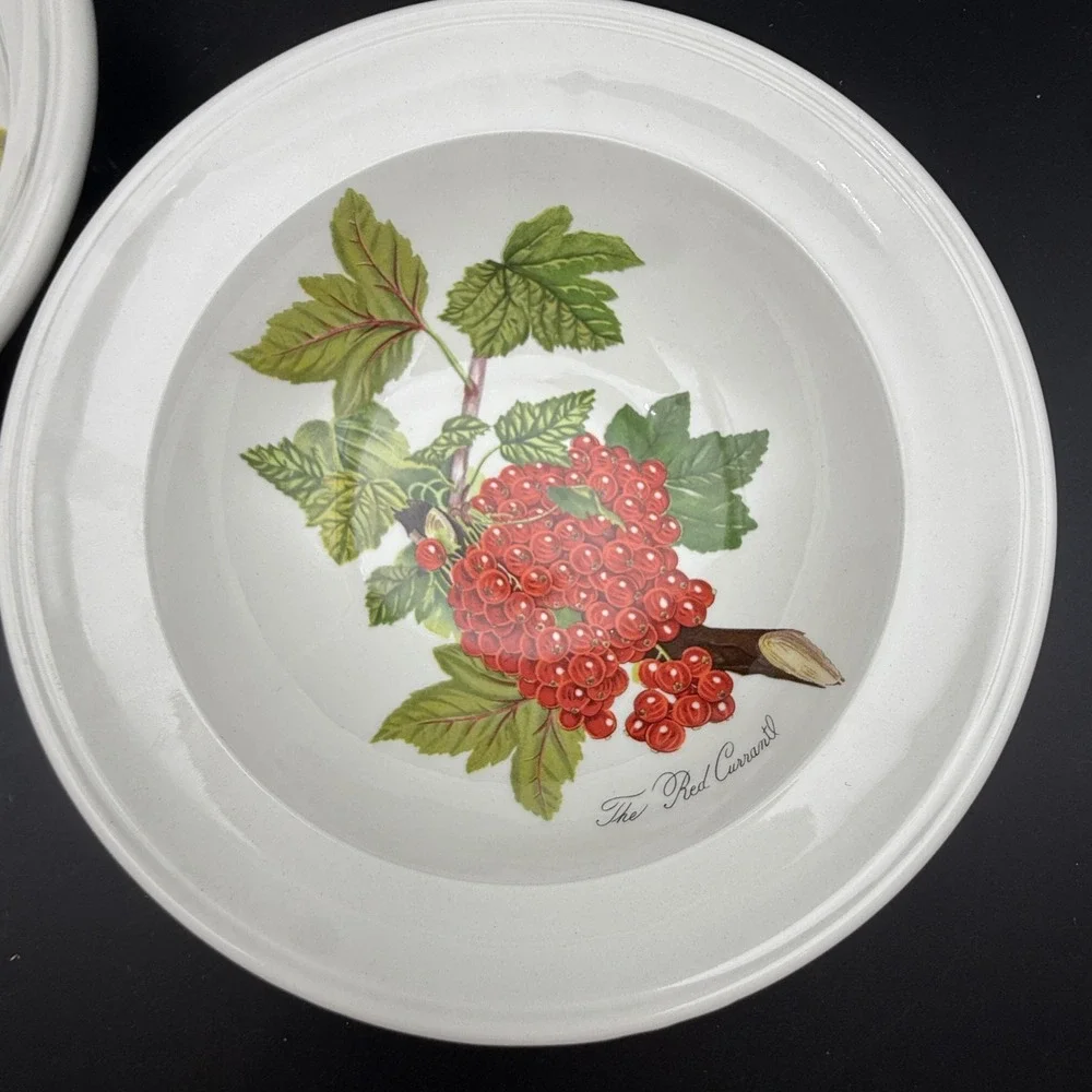 Vintage Portmeirion Pomona Rimmed Cereal Bowls Set 2 Fruit Botanical Cottagecore